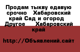 Продам тыкву едавую срочно - Хабаровский край Сад и огород » Другое   . Хабаровский край